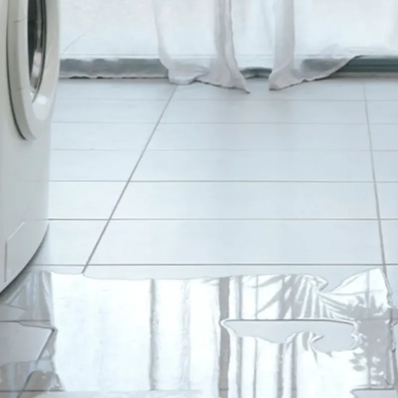 Appliance Leak Cleanup in Red Bank, SC